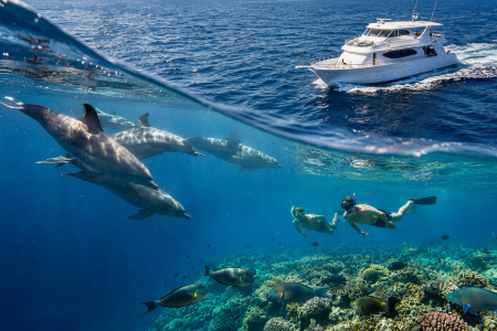 Sataya Marsa Alam Snurkowanie z Delfinami