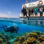 Nurkowanie i Snurkowanie w Marsa Alam – Niezapomniana Przygoda 7