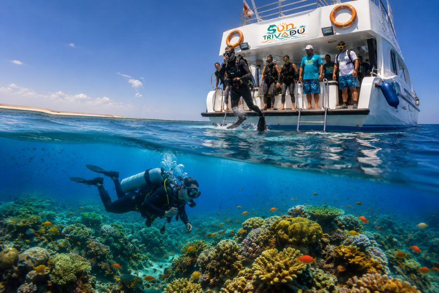 Nurkowanie i Snurkowanie w Marsa Alam – Niezapomniana Przygoda