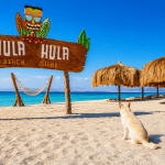 Wycieczka Hula Hula Giftun Odkryj New Paradise