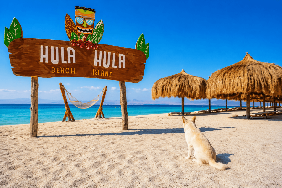 Wycieczka Hula Hula Giftun Odkryj New Paradise
