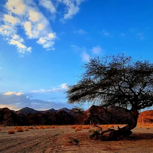 Wadi El Gemal: Wycieczka z Marsa Alam