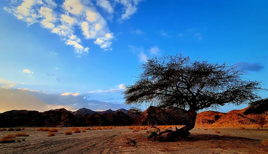Wadi El Gemal: Wycieczka z Marsa Alam