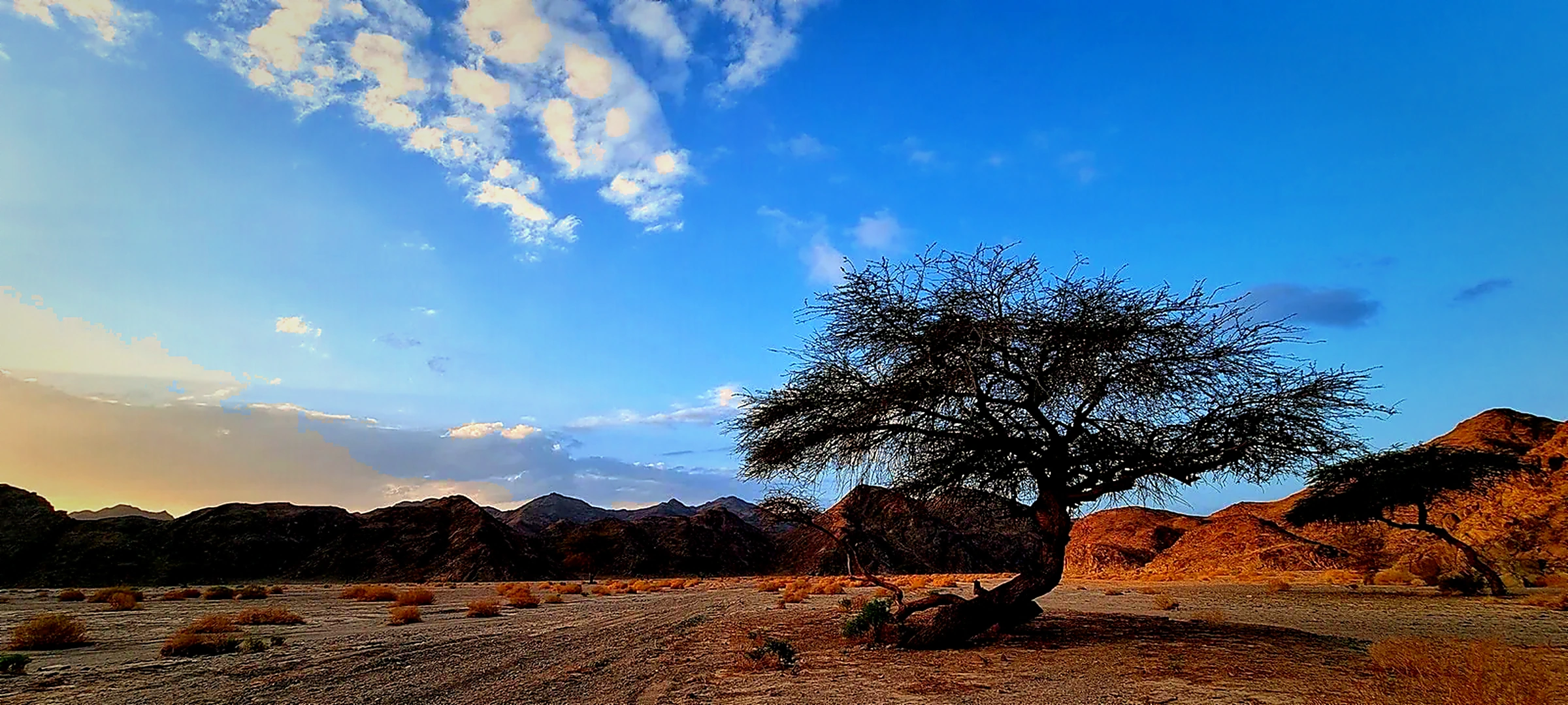 Wadi El Gemal: Wycieczka z Marsa Alam